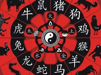 今期生肖六合開，探尋神秘生肖文化背后的奧秘與魅力