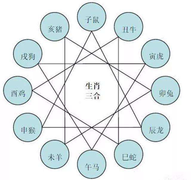 生肖三合六合表在2025年的獨(dú)特解讀與探索