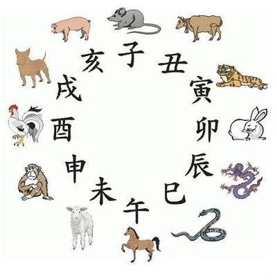 百度十二生肖排列，探尋神秘文化符號背后的故事