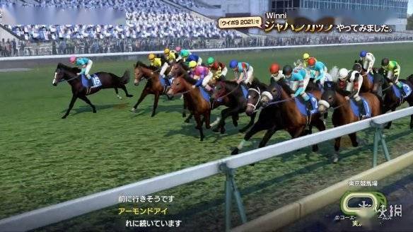 澳門今期特馬開什么——探索澳門賽馬文化之旅