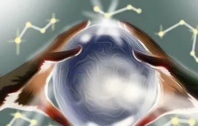 龍的生肖與生肖三合六合解析