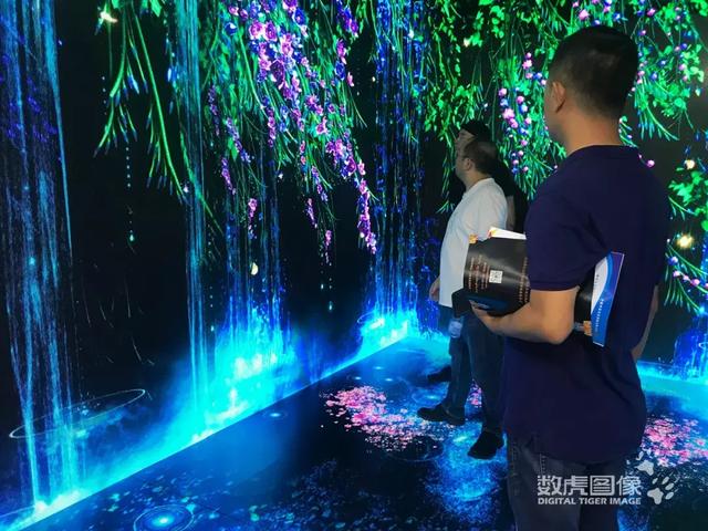 探索奇妙的數字世界，從彩圖118庫到圖像探索之旅
