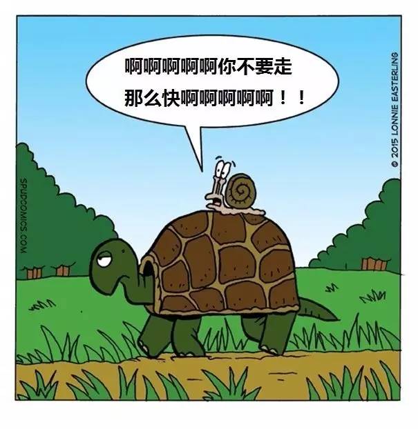 探索與發(fā)現(xiàn)，關(guān)于49tk圖案庫下載的奇妙世界