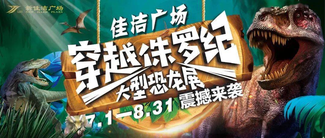 探尋神秘的數(shù)字世界，神算碼王與數(shù)字之旅