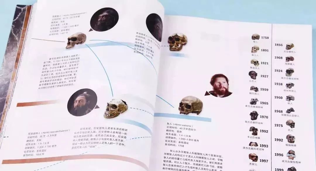 探索數(shù)字世界，精準傳真與預設(shè)關(guān)鍵詞的神秘之旅