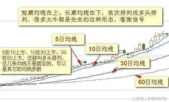 平馬和特馬的倍數(shù)，一場(chǎng)虛擬競(jìng)技的奧秘探索
