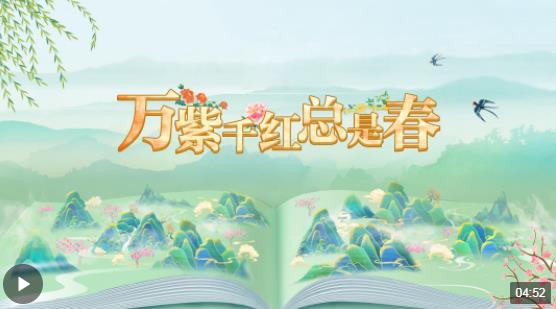 平馬和特馬，倍數(shù)背后的故事與探索