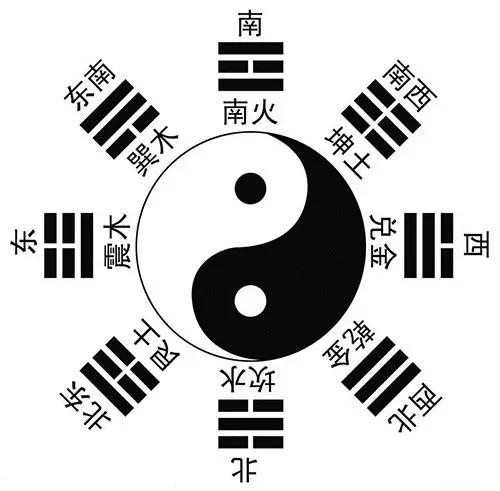 平馬和特馬，倍數(shù)區(qū)別及其背后的奧秘