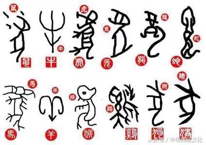 十二生肖合成圖，探索神秘文化符號的無窮魅力