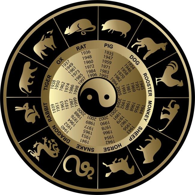 十二生肖時辰，探尋古老文化中的奧秘