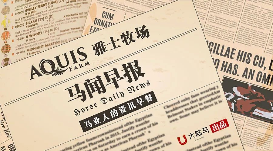 香港開馬開獎歷史紀(jì)錄查詢結(jié)果今天——探索賽馬運動的魅力與歷程