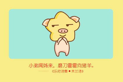 十二生肖豬和兔的相合性分析